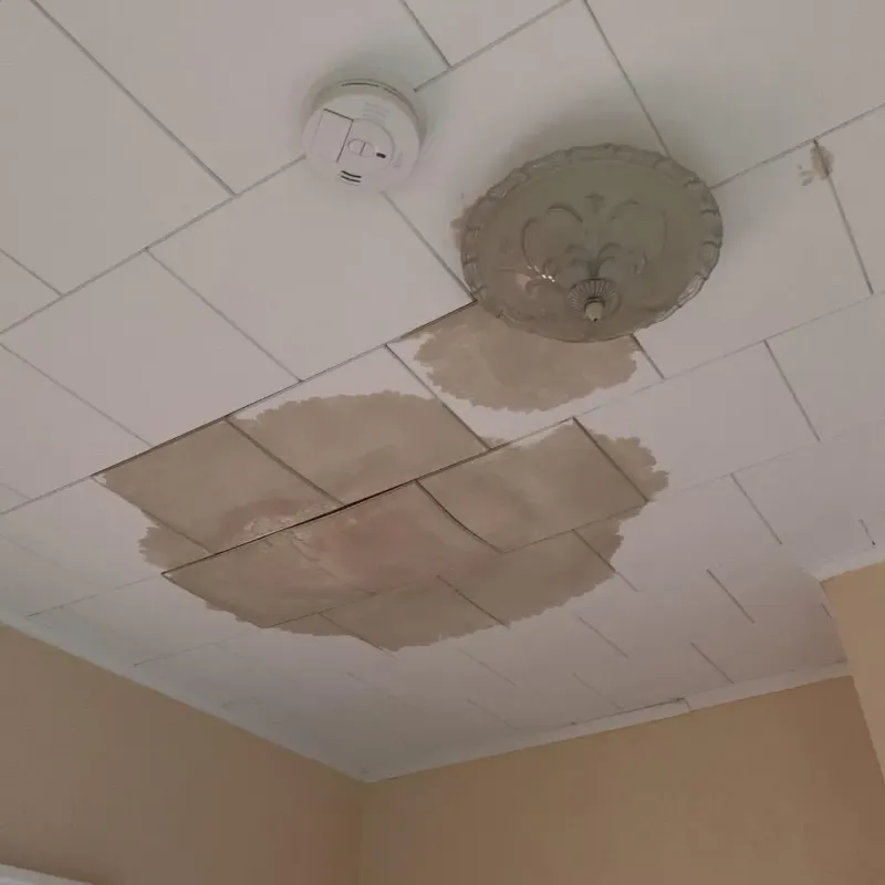 Ceiling Water Damage Repair in West Ishpeming, MI