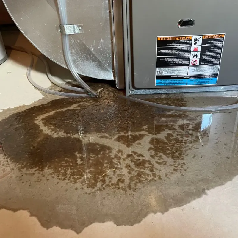 Pipe Burst and Leak Restoration in West Ishpeming, MI